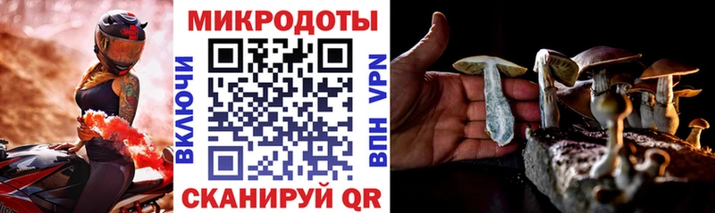 цена наркотик  Тында  Псилоцибиновые грибы прущие грибы 