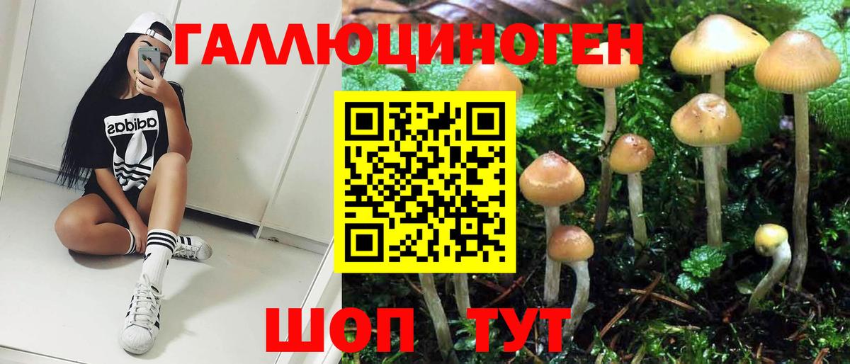 Псилоцибиновые грибы Magic Shrooms  Тында 