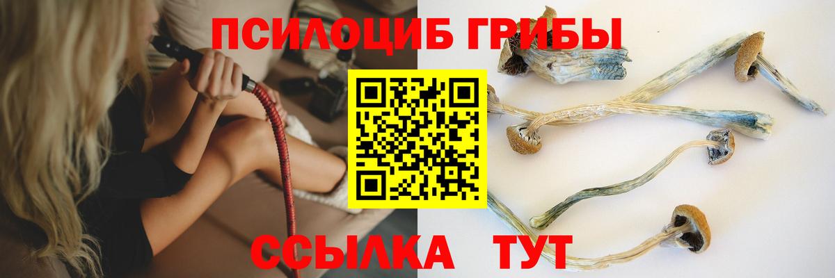 Псилоцибиновые грибы мицелий Тында