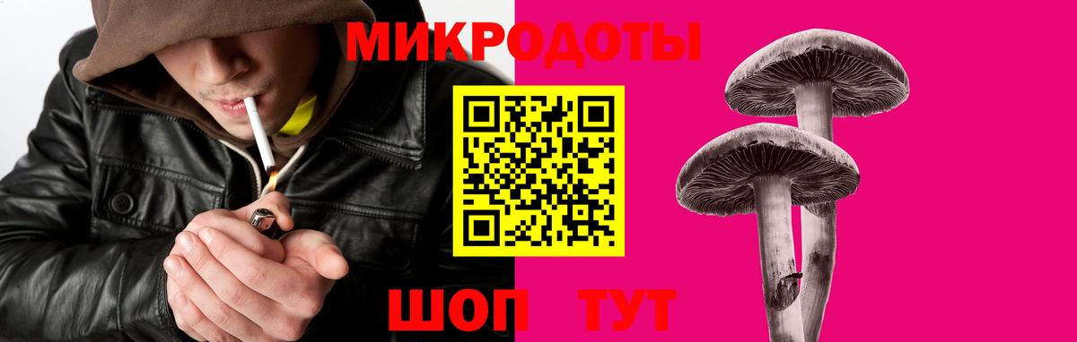 Псилоцибиновые грибы Psilocybine cubensis  Вход с VPN  Тында 